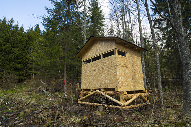 Ngôi nhà nhỏ do địa phương xây dựng cho du khách trú ẩn và ngắm nhìn các chú gấu giữa thiên nhiên thanh bình của vùng núi Tatras, miền bắc Slovakia.